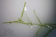 IMG_20210906_173544x