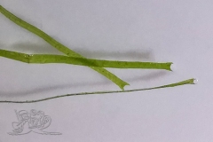 IMG_20210906_180015x