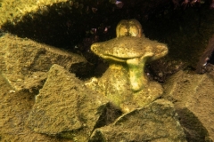 DSC02454x