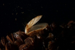 PB110045x