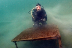 PB110075x