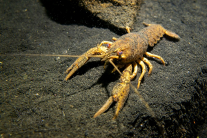 210930 Gewässererkundung