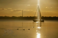 IMG_20211007_174805x