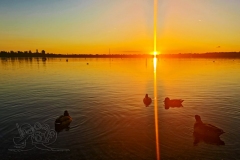 IMG_20211007_182528x