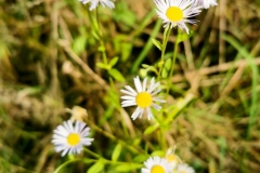 IMG_20211017_104830x