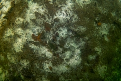 DSC02978x