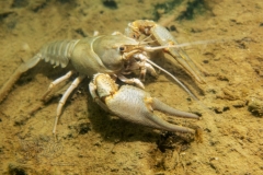 DSC03661x