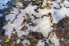 IMG_20211203_122736x