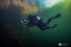 Ronny_DSC_0789