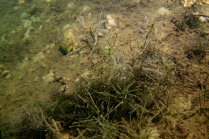 220106 Moritzsee