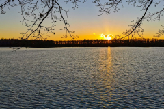 IMG_20220106_160028x