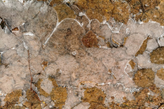 IMG_20220108_095025x