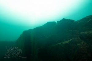 220120 Gewässererkundung