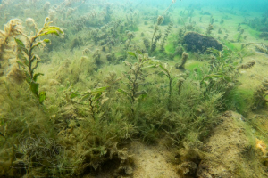 220213 Moritzsee