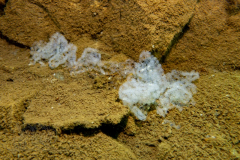 DSC07008x