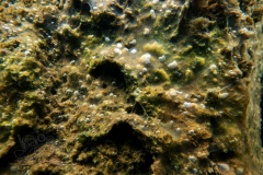DSC08124x
