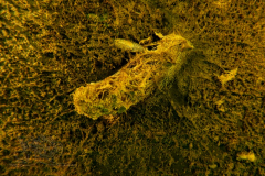 DSC09666x