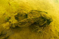 DSC09713x