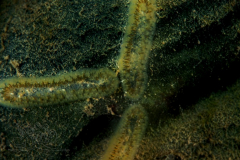 DSC09957x