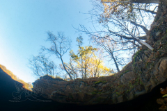 DSC00536x