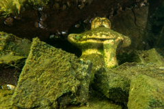 DSC00707x