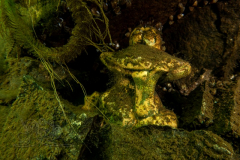 DSC00846x