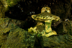 DSC00944x