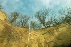 DSC00977x