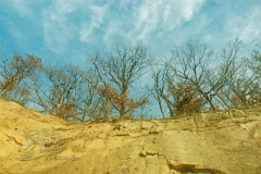 DSC00978x