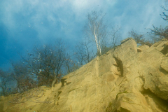 DSC00980x