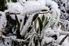 IMG_20221218_142310x
