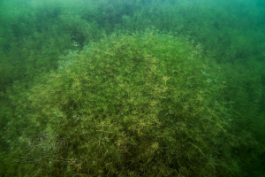 221223 Moritzsee