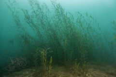 DSC01035x