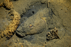 DSC01384x
