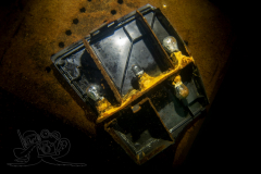 DSC01907x