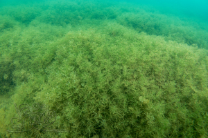 230401 Moritzsee