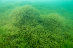 DSC02344x