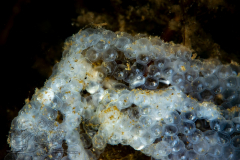 DSC02477x