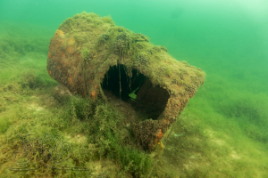 230501 Moritzsee