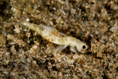 DSC02701x