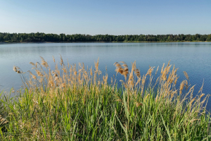 230529 Moritzsee