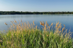 IMG_20230529_084000x