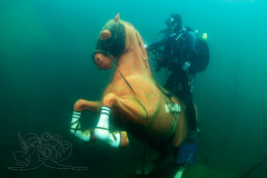 DSC03628x