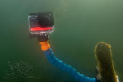 DSC03926x