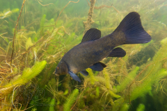DSC06202x