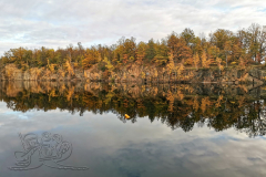 IMG_20231111_083552x