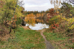 IMG_20231111_083816x