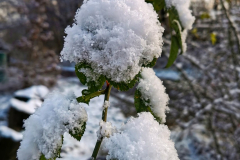 IMG_20231126_092504x