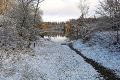 IMG_20231126_092548x