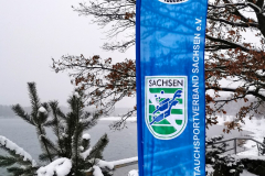 IMG_20231203_073034x